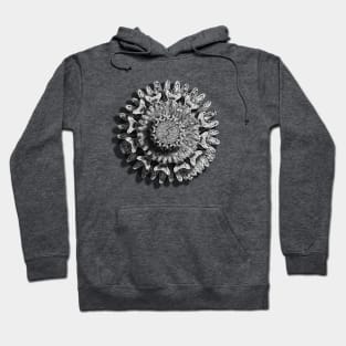 Fish Flower Hoodie